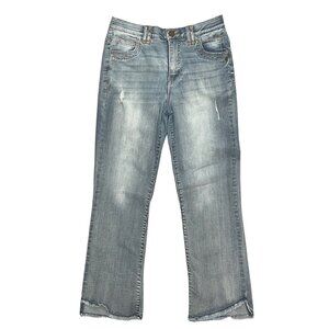 Democracy AB Technology Women’s 2 Blue Straight Leg Stretch Jeans Raw Hem Denim